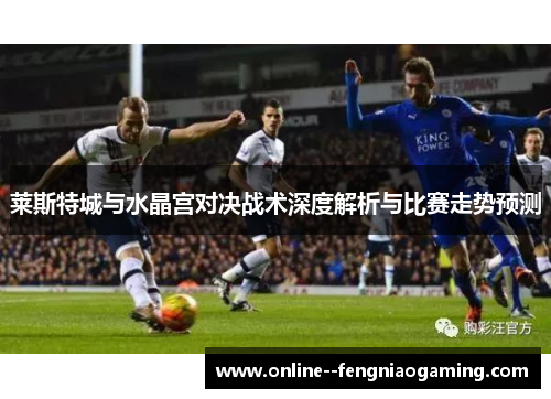 莱斯特城与水晶宫对决战术深度解析与比赛走势预测