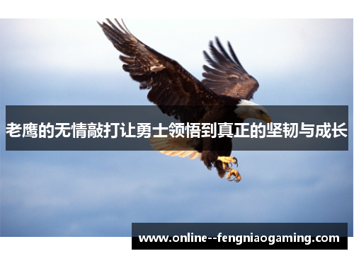 老鹰的无情敲打让勇士领悟到真正的坚韧与成长 老鹰的无情敲打让勇士领悟到真正的坚韧与成长