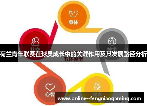 荷兰青年联赛在球员成长中的关键作用及其发展路径分析