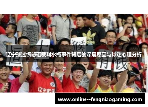 辽宁球迷愤怒砸裁判水瓶事件背后的深层原因与球迷心理分析