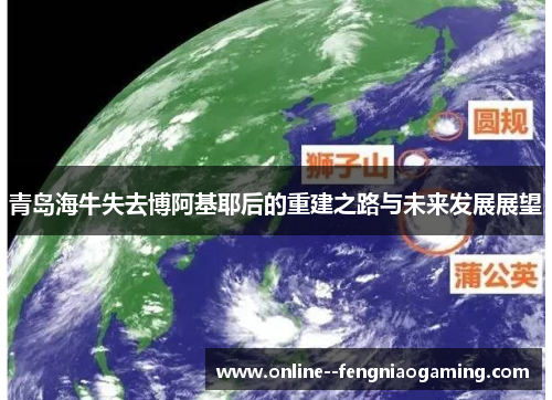 青岛海牛失去博阿基耶后的重建之路与未来发展展望