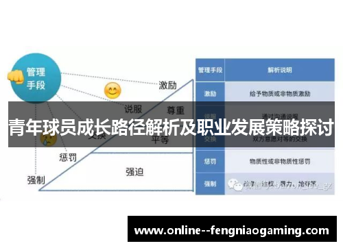 青年球员成长路径解析及职业发展策略探讨