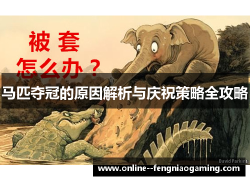 马匹夺冠的原因解析与庆祝策略全攻略