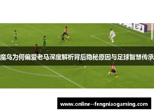 魔鸟为何偏爱老马深度解析背后隐秘原因与足球智慧传承