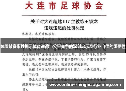 魏震禁赛事件揭示体育道德与公平竞争的深刻启示及行业自律的重要性
