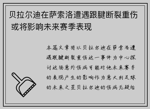 贝拉尔迪在萨索洛遭遇跟腱断裂重伤 或将影响未来赛季表现 贝拉尔迪在萨索洛遭遇跟腱断裂重伤 或将影响未来赛季表现
